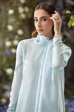 08 (FLR) Bleu Robe